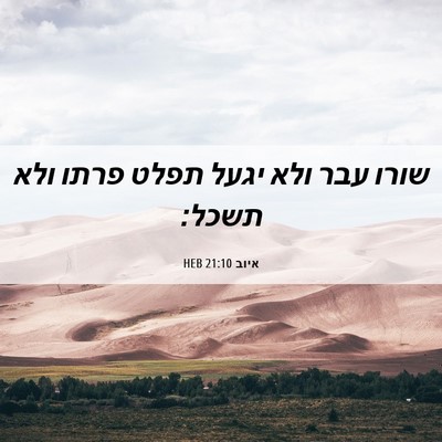 Picture 06 - איוב 21:10 HEB - שורו עבר ולא יגעל תפלט פרתו - Bible Verse Picture