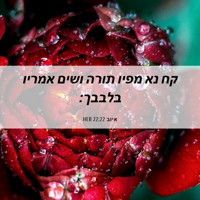 Picture 06 - איוב 22:22 HEB - קח נא מפיו תורה ושים אמריו - Bible Verse Picture