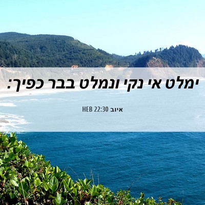 Picture 06 - איוב 22:30 HEB - ימלט אי נקי ונמלט בבר - Bible Verse Picture