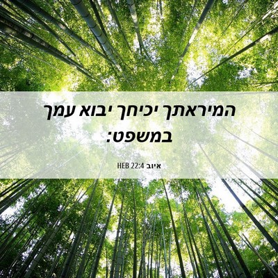 Picture 06 - איוב 22:4 HEB - המיראתך יכיחך יבוא עמך - Bible Verse Picture