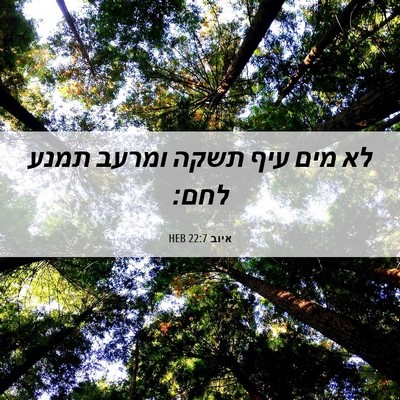 Picture 06 - איוב 22:7 HEB - לא מים עיף תשקה ומרעב תמנע - Bible Verse Picture