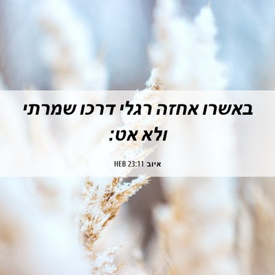 Picture 06 - איוב 23:11 HEB - באשרו אחזה רגלי דרכו שמרתי - Bible Verse Picture