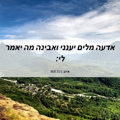 Picture 06 - איוב 23:5 HEB - אדעה מלים יענני ואבינה מה - Bible Verse Picture