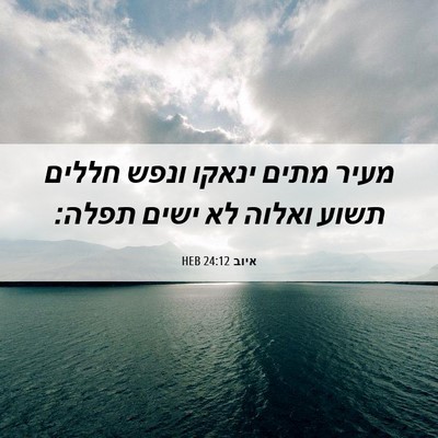 Picture 06 - איוב 24:12 HEB - מעיר מתים ינאקו ונפש חללים - Bible Verse Picture