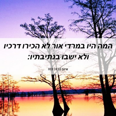 Picture 06 - איוב 24:13 HEB - המה היו במרדי אור לא הכירו - Bible Verse Picture