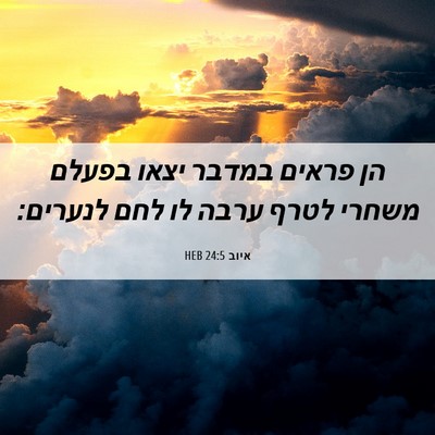 Picture 06 - איוב 24:5 HEB - הן פראים במדבר יצאו בפעלם - Bible Verse Picture