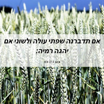 Picture 06 - איוב 27:4 HEB - אם תדברנה שפתי עולה ולשוני - Bible Verse Picture