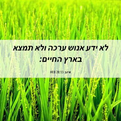 Picture 06 - איוב 28:13 HEB - לא ידע אנוש ערכה ולא תמצא - Bible Verse Picture