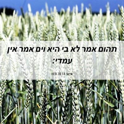 Picture 06 - איוב 28:14 HEB - תהום אמר לא בי היא וים אמר - Bible Verse Picture