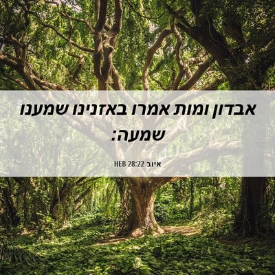 Picture 06 - איוב 28:22 HEB - אבדון ומות אמרו באזנינו - Bible Verse Picture