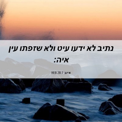 Picture 06 - איוב 28:7 HEB - נתיב לא ידעו עיט ולא שזפתו - Bible Verse Picture