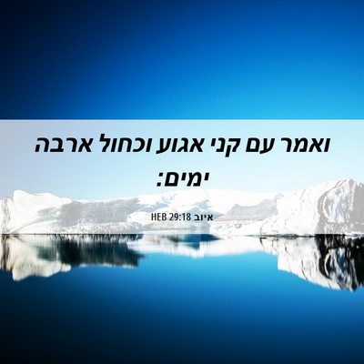 Picture 06 - איוב 29:18 HEB - ואמר עם קני אגוע וכחול ארבה - Bible Verse Picture