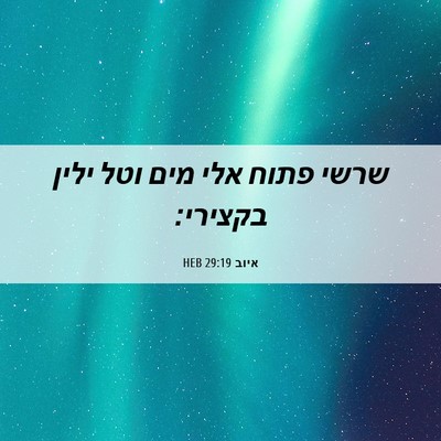 Picture 06 - איוב 29:19 HEB - שרשי פתוח אלי מים וטל ילין - Bible Verse Picture