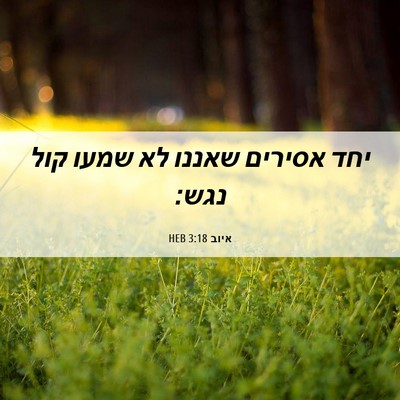 Picture 06 - איוב 3:18 HEB - יחד אסירים שאננו לא שמעו - Bible Verse Picture
