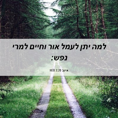 Picture 06 - איוב 3:20 HEB - למה יתן לעמל אור וחיים למרי - Bible Verse Picture