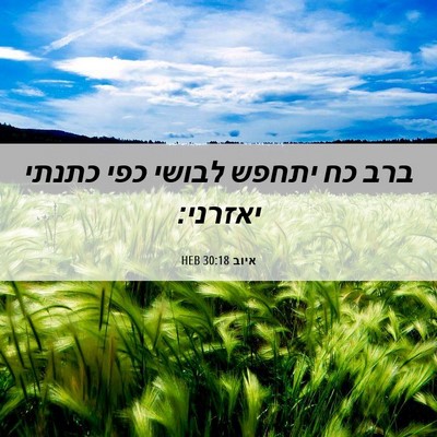 Picture 06 - איוב 30:18 HEB - ברב כח יתחפש לבושי כפי - Bible Verse Picture
