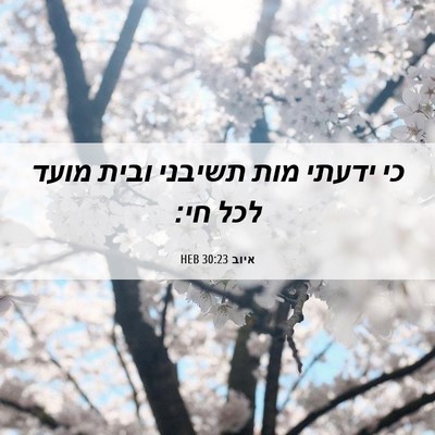 Picture 06 - איוב 30:23 HEB - כי ידעתי מות תשיבני ובית - Bible Verse Picture