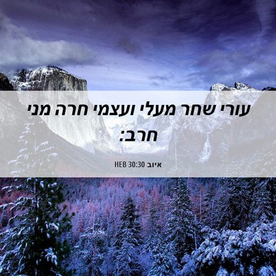 Picture 06 - איוב 30:30 HEB - עורי שחר מעלי ועצמי חרה מני - Bible Verse Picture