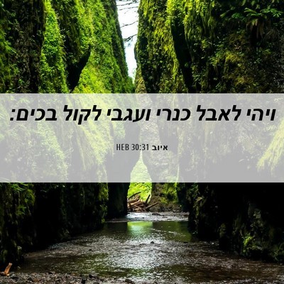 Picture 06 - איוב 30:31 HEB - ויהי לאבל כנרי ועגבי לקול - Bible Verse Picture