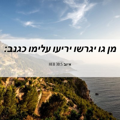 Picture 06 - איוב 30:5 HEB - מן גו יגרשו יריעו עלימו - Bible Verse Picture