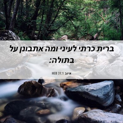 Picture 06 - איוב 31:1 HEB - ברית כרתי לעיני ומה אתבונן - Bible Verse Picture