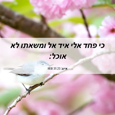 Picture 06 - איוב 31:23 HEB - כי פחד אלי איד אל ומשאתו לא - Bible Verse Picture
