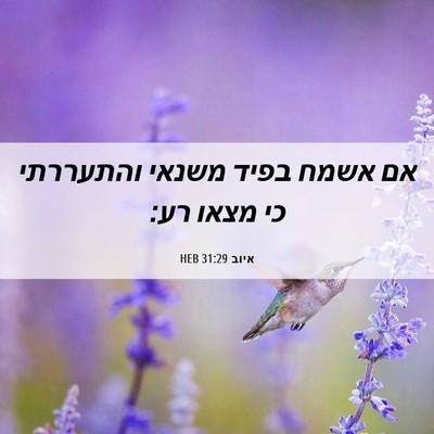 Picture 06 - איוב 31:29 HEB - אם אשמח בפיד משנאי - Bible Verse Picture