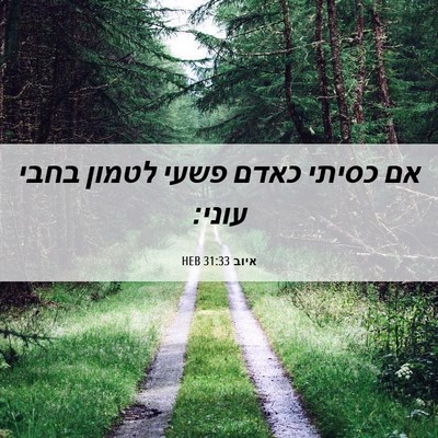 Picture 06 - איוב 31:33 HEB - אם כסיתי כאדם פשעי לטמון - Bible Verse Picture