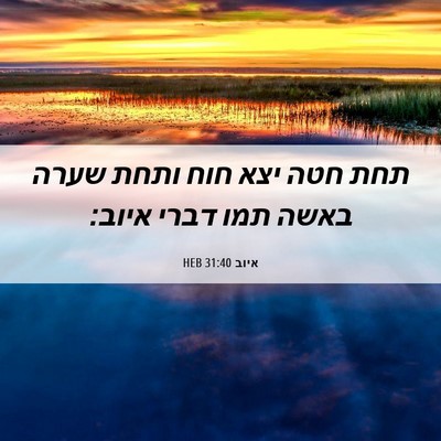 Picture 06 - איוב 31:40 HEB - תחת חטה יצא חוח ותחת שערה - Bible Verse Picture