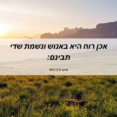 Picture 06 - איוב 32:8 HEB - אכן רוח היא באנוש ונשמת שדי - Bible Verse Picture