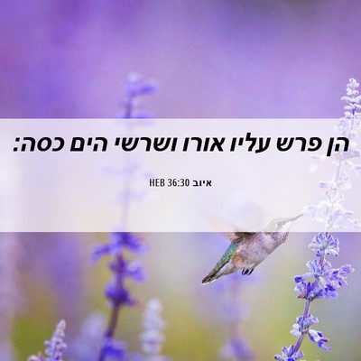 Picture 06 - איוב 36:30 HEB - הן פרש עליו אורו ושרשי הים - Bible Verse Picture