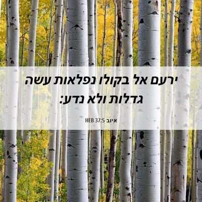 Picture 06 - איוב 37:5 HEB - ירעם אל בקולו נפלאות עשה - Bible Verse Picture
