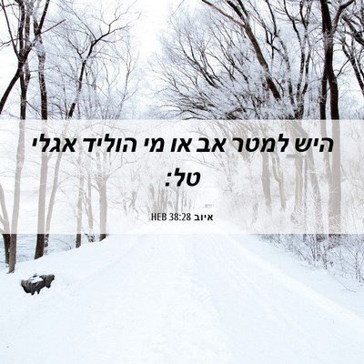 Picture 06 - איוב 38:28 HEB - היש למטר אב או מי הוליד - Bible Verse Picture