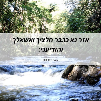 Picture 06 - איוב 38:3 HEB - אזר נא כגבר חלציך ואשאלך - Bible Verse Picture