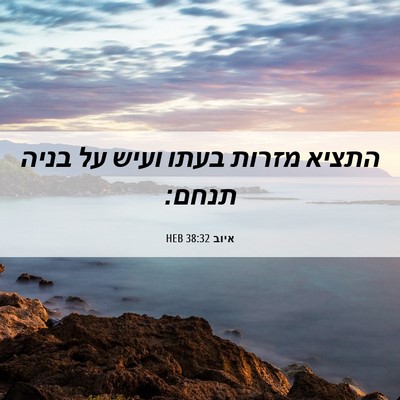 Picture 06 - איוב 38:32 HEB - התציא מזרות בעתו ועיש על - Bible Verse Picture