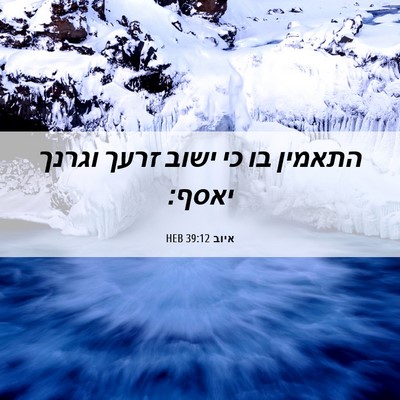 Picture 06 - איוב 39:12 HEB - התאמין בו כי ישוב זרעך - Bible Verse Picture