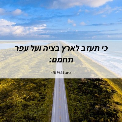 Picture 06 - איוב 39:14 HEB - כי תעזב לארץ בציה ועל עפר - Bible Verse Picture