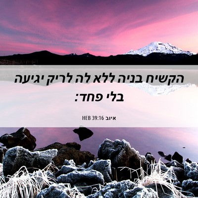 Picture 06 - איוב 39:16 HEB - הקשיח בניה ללא לה לריק - Bible Verse Picture