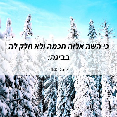 Picture 06 - איוב 39:17 HEB - כי השה אלוה חכמה ולא חלק לה - Bible Verse Picture
