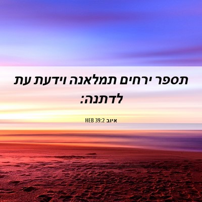 Picture 06 - איוב 39:2 HEB - תספר ירחים תמלאנה וידעת עת - Bible Verse Picture