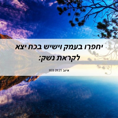 Picture 06 - איוב 39:21 HEB - יחפרו בעמק וישיש בכח יצא - Bible Verse Picture