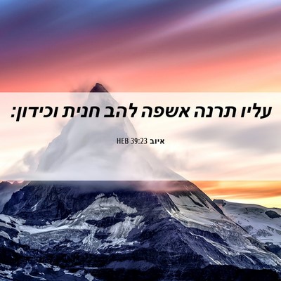 Picture 06 - איוב 39:23 HEB - עליו תרנה אשפה להב חנית - Bible Verse Picture