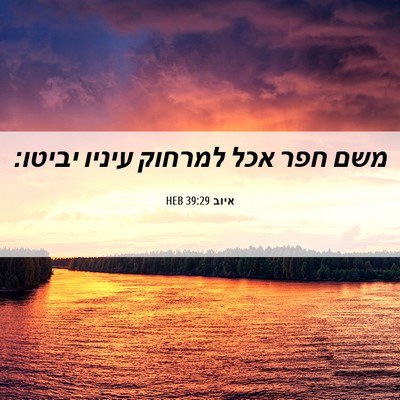 Picture 06 - איוב 39:29 HEB - משם חפר אכל למרחוק עיניו - Bible Verse Picture