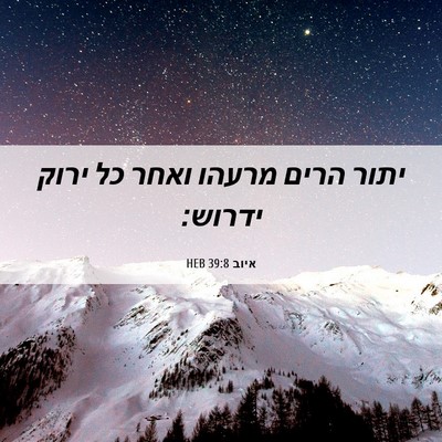 Picture 06 - איוב 39:8 HEB - יתור הרים מרעהו ואחר כל - Bible Verse Picture