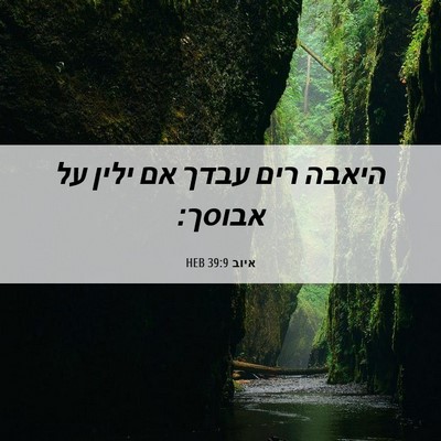 Picture 06 - איוב 39:9 HEB - היאבה רים עבדך אם ילין על - Bible Verse Picture