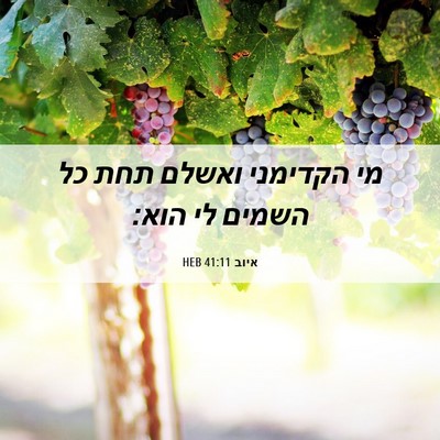 Picture 06 - איוב 41:11 HEB - מי הקדימני ואשלם תחת כל - Bible Verse Picture