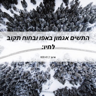 Picture 06 - איוב 41:2 HEB - התשים אגמון באפו ובחוח - Bible Verse Picture