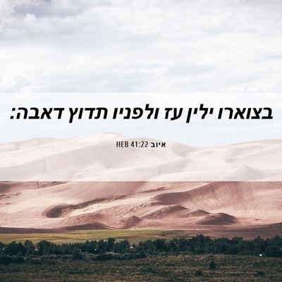 Picture 06 - איוב 41:22 HEB - בצוארו ילין עז ולפניו תדוץ - Bible Verse Picture