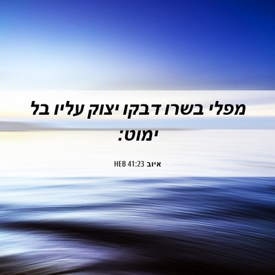 Picture 06 - איוב 41:23 HEB - מפלי בשרו דבקו יצוק עליו בל - Bible Verse Picture