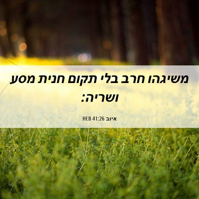 Picture 06 - איוב 41:26 HEB - משיגהו חרב בלי תקום חנית - Bible Verse Picture
